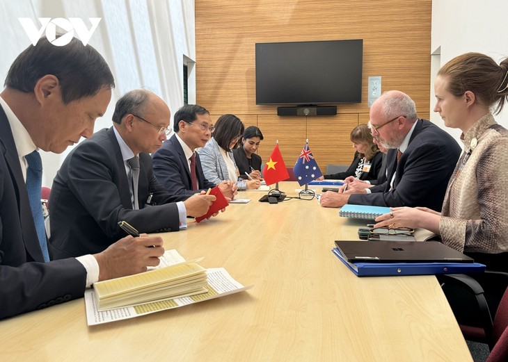 Vietnam vigoriza cooperación con Japón y Australia - ảnh 2