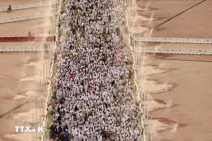 Más de 1300 peregrinos murieron por el calor en Arabia Saudita - ảnh 1