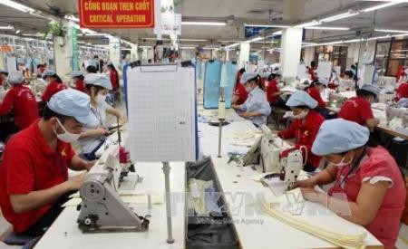 Vietnam y la Unión Económica Euroasiática abordan el despliegue del Tratado de Libre Comercio - ảnh 1