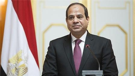 Egipto reitera su apoyo al establecimiento del estado palestino - ảnh 1