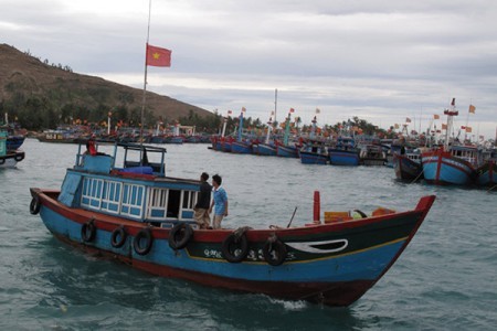 Australia coopera con Vietnam contra la pesca ilegal  - ảnh 1