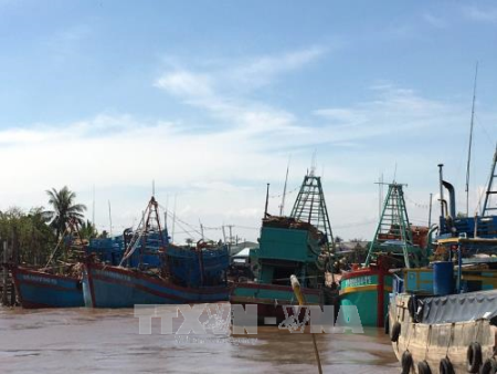 Localidades sureñas de Vietnam se preparan para responder al tifón Tembin  - ảnh 1