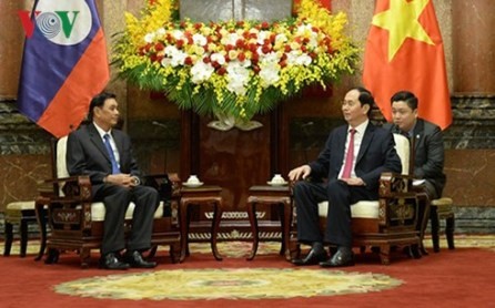 Fomentan relaciones entre Vietnam y Laos  - ảnh 1