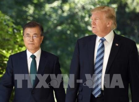 Estados Unidos y Corea del Sur prometen esforzarse por la desnuclearización de la península coreana - ảnh 1