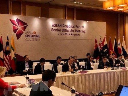 Funcionarios de Asean y países socios dialogan sobre la cooperación regional - ảnh 1