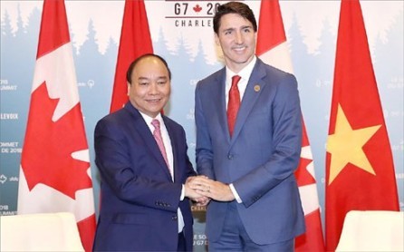 Premier vietnamita concluye su viaje a Canadá - ảnh 1