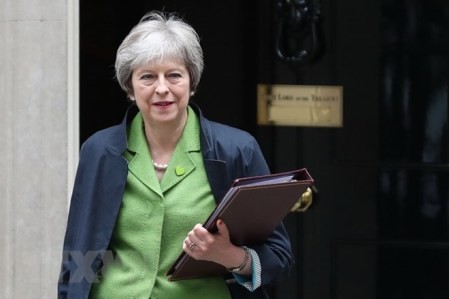 Theresa May promete 20 mil millones de libras esterlinas extras para el cuidado de la salud  - ảnh 1