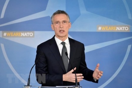 Naciones de la OTAN comprometidas a incrementar su gasto militar  - ảnh 1