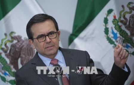 México: TLCAN debe modificarse sin Canadá - ảnh 1
