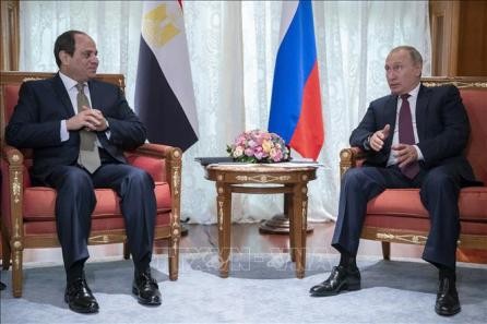 Rusia y Egipto elevan sus relaciones a nivel de asociación estratégica integral   - ảnh 1