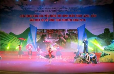 Celebran Festival sobre el modelo de pueblo cultural en Thai Nguyen - ảnh 1