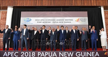 Concluye Cumbre de APEC en Papúa Nueva Guinea - ảnh 1