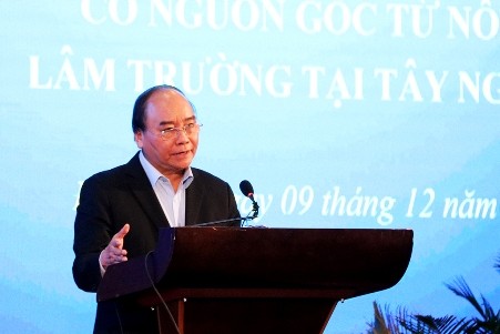 Primer ministro de Vietnam sugiere medidas para prevenir la migración libre - ảnh 1