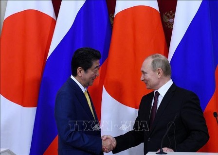 Japón y Rusia impulsan esfuerzos por resolver disputas territoriales  - ảnh 1