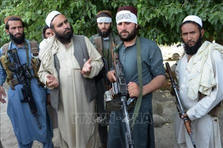 Estados Unidos y fuerzas talibanes fijan fecha para próxima rueda de negociaciones  - ảnh 1