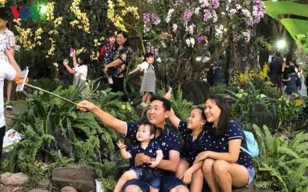 Más de un millón de visitantes en Festival de Flores de Ciudad Ho Chi Minh  - ảnh 1