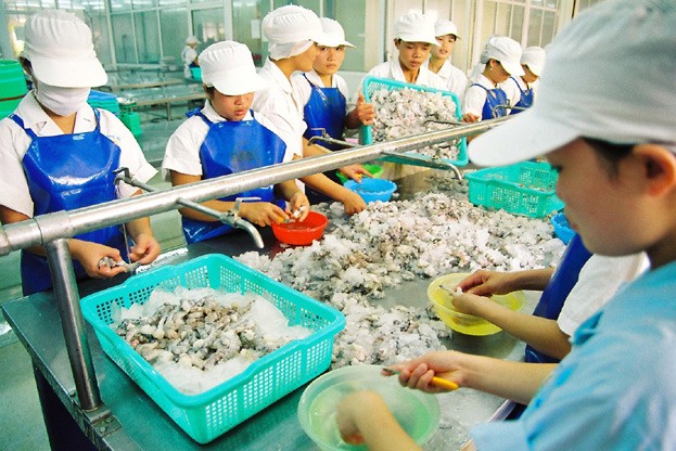Sector de productos acuáticos de Vietnam por lograr 10 mil millones de dólares de exportación - ảnh 1