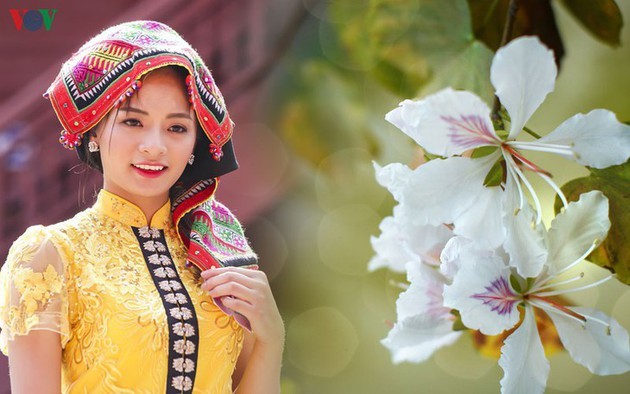 La bufanda Pieu en la vida de los étnicos Thai - ảnh 1