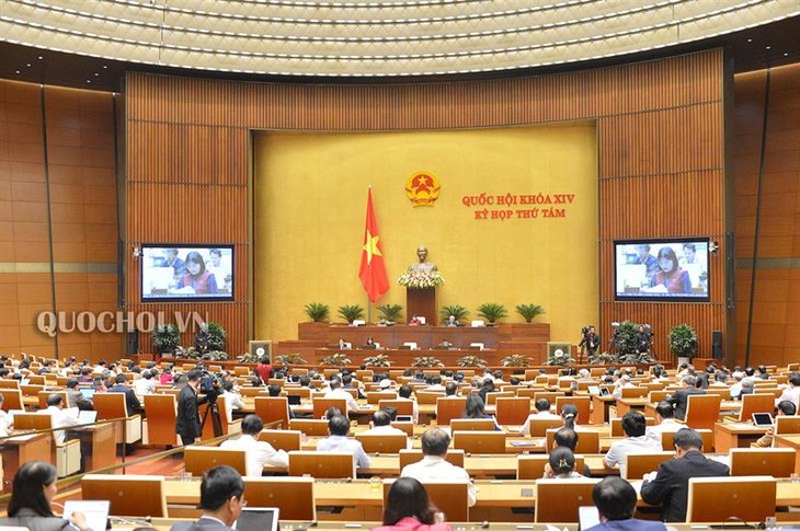 Diputados vietnamitas debaten la modificación de la Ley de Pericia Judicial - ảnh 1