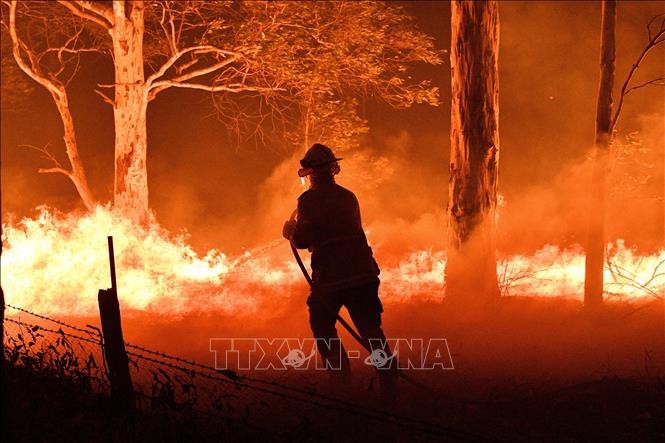 Australia intensifica medidas contra incendios forestales - ảnh 1