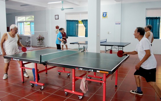 Tenis de mesa, un deporte preferido en Vietnam - ảnh 3
