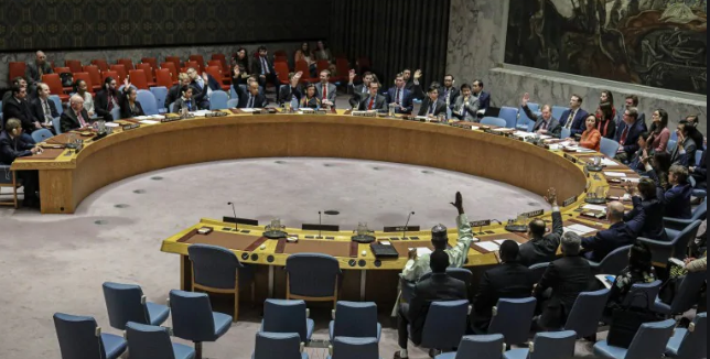 Consejo de Seguridad de la ONU realiza videoconferencia sobre situación en Yemen - ảnh 1