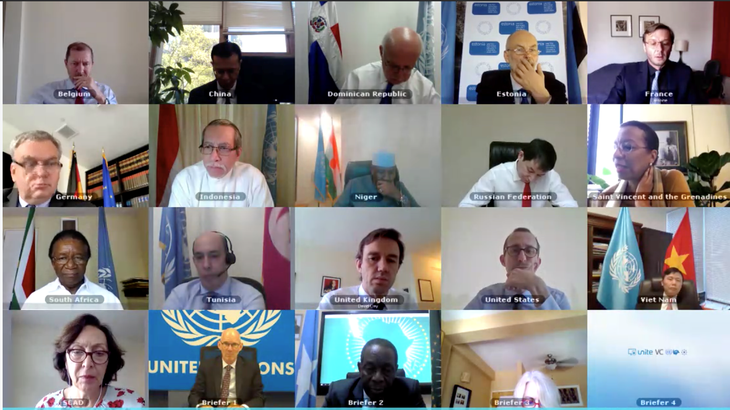 Debaten sobre la misión de la ONU en Somalia - ảnh 1