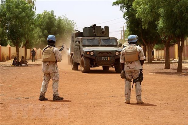 Soldados de ONU en Malí asesinados por terroristas - ảnh 1