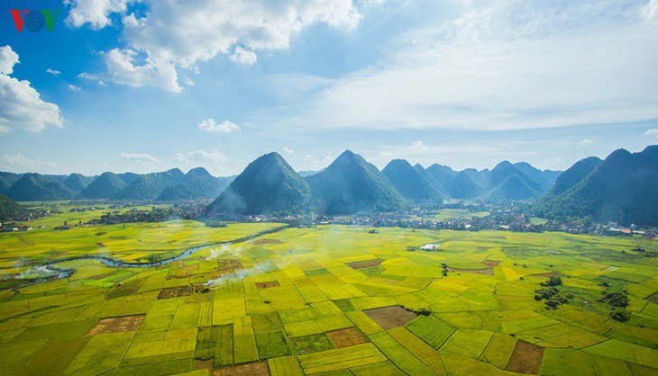 Los campos de arroz de Bac Son se vuelven amarillos en temporada de cosecha - ảnh 2
