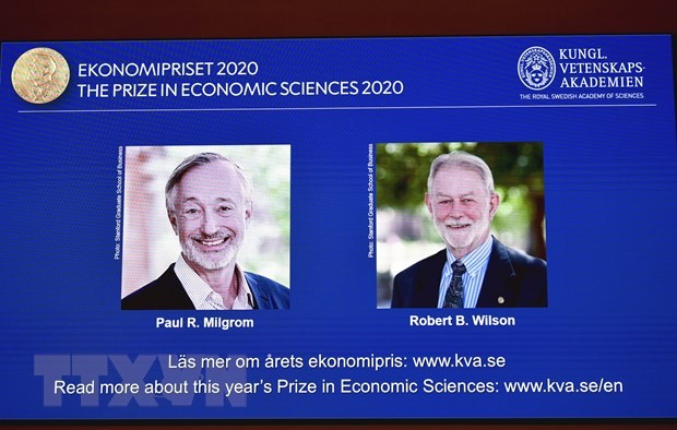 Entregan los premios Nobel 2020  - ảnh 1
