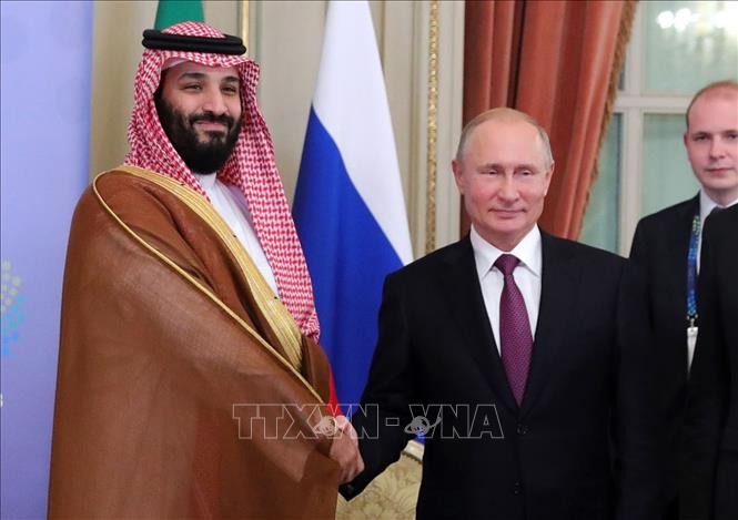 Líderes de Rusia y Arabia Saudita conversan sobre covid-19 y OPEP - ảnh 1
