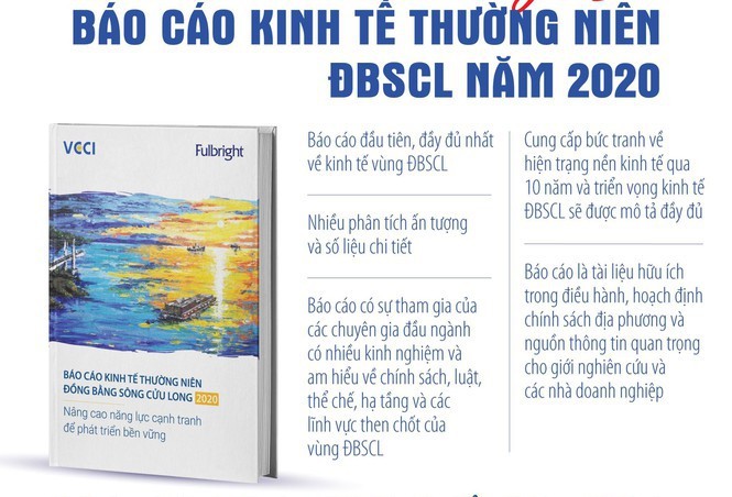 Se publica el informe económico 2020 del Delta del río Mekong - ảnh 1
