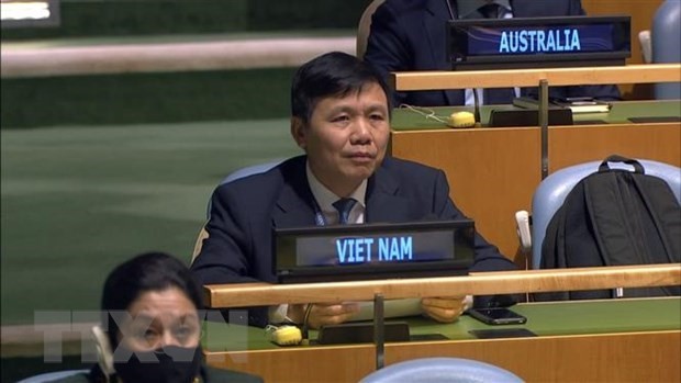 Vietnam, Rusia y Sudáfrica conmemoran 60 años de Declaración sobre la descolonialización - ảnh 1