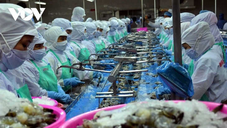 Alaban levantamiento de impuestos antidumping de Estados Unidos a camarón vietnamita - ảnh 1