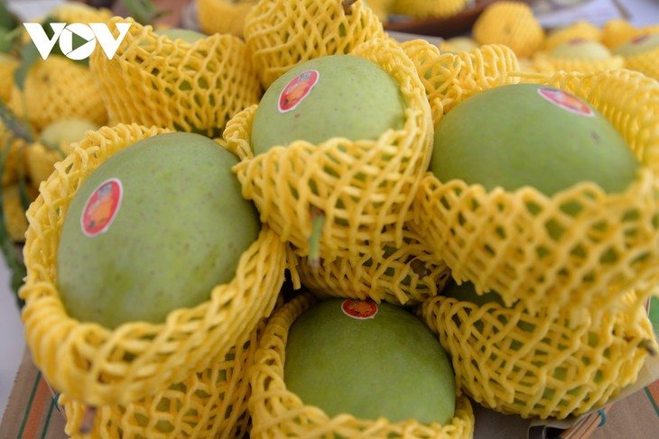 Vietnam promueve la producción de mangos con estándares globales al servicio de la exportación - ảnh 1