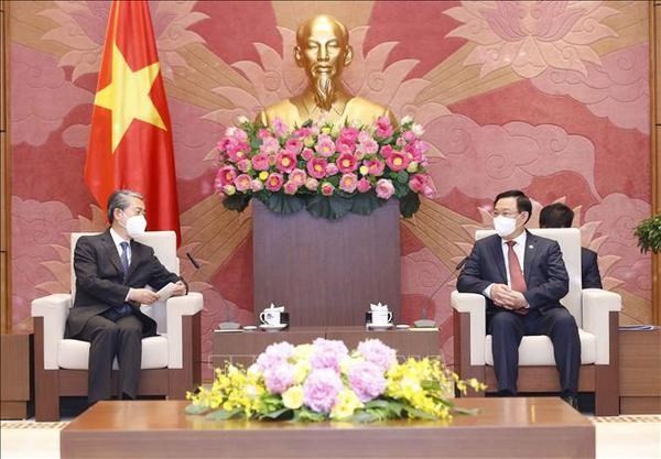 Vietnam por desarrollar la asociación estratégica integral con China - ảnh 1