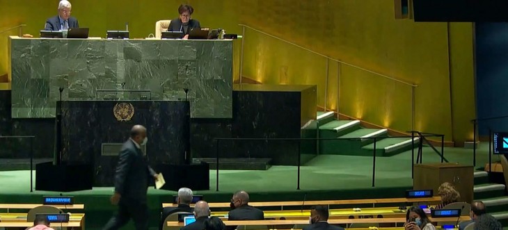Albania, Brasil, Gabón, Ghana y Emiratos Árabes Unidos elegidos para el Consejo de Seguridad - ảnh 1