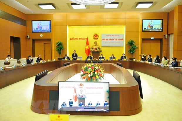 Efectúan primera sesión plenaria del Comité de Relaciones Exteriores del Parlamento vietnamita  - ảnh 1