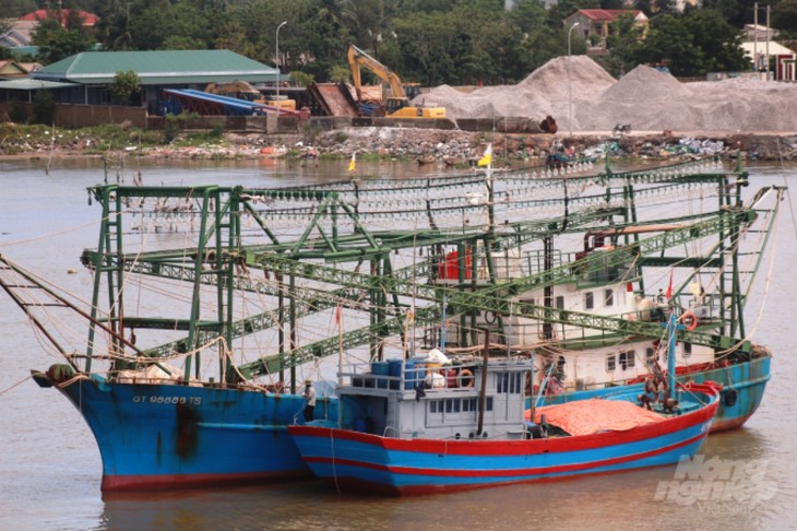 Vietnam despliega de modo experimental el diario electrónico de pesca  - ảnh 1