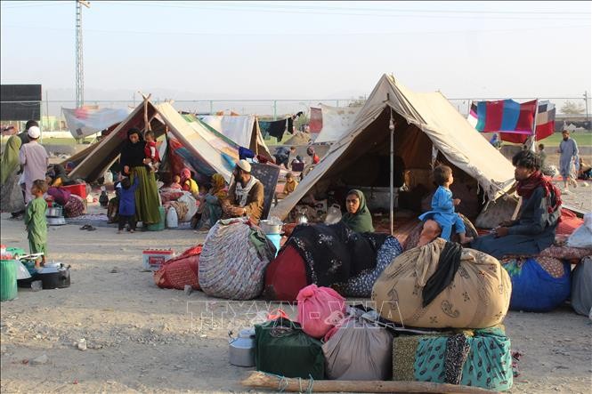 ONU pide más ayuda humanitaria para Afganistán - ảnh 1