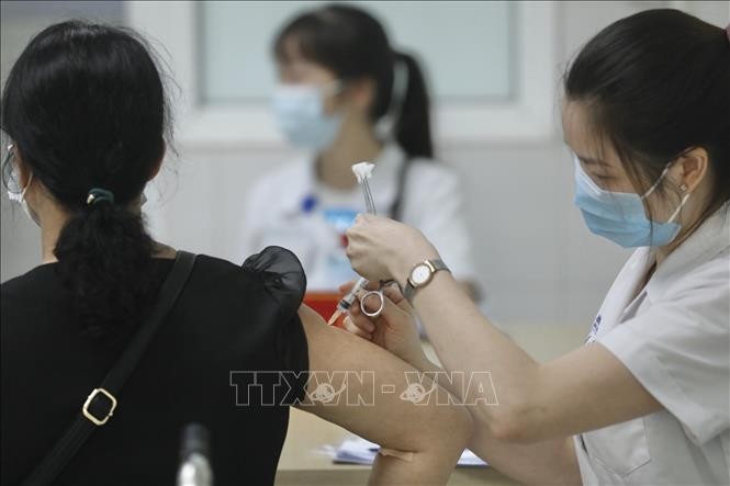 Analizan la eficacia protectora de vacuna vietnamita Nano Covax  - ảnh 1