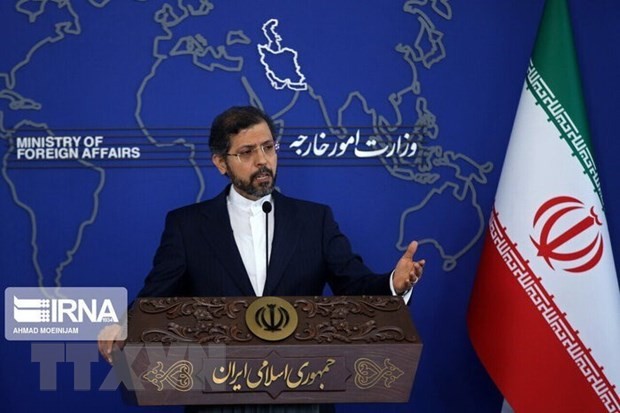 Irán reitera el propósito pacífico de su programa nuclear - ảnh 1