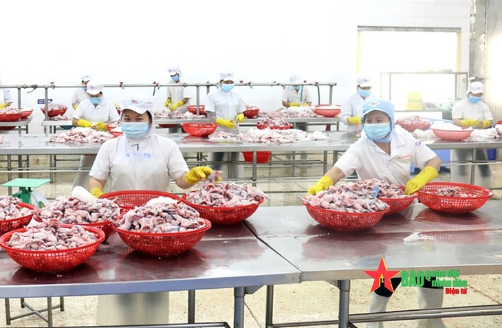 Ciudad Ho Chi Minh: casi 96% de las empresas reanudan sus operaciones en zonas industriales - ảnh 1