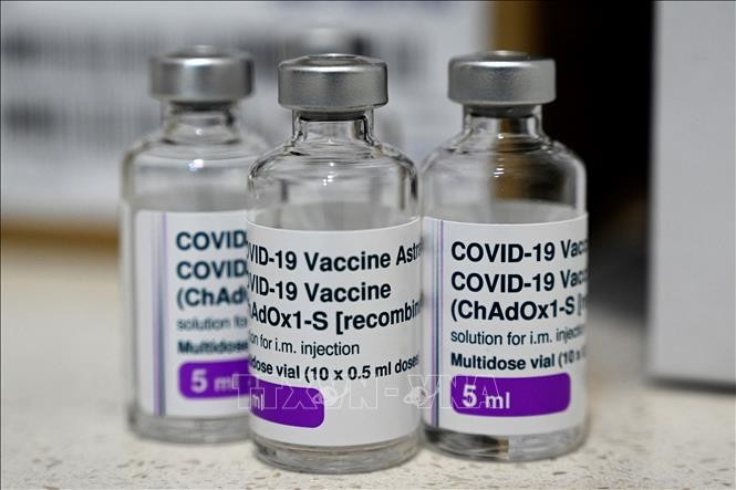 Argentina suministrará a Vietnam 500 mil dosis de vacuna AstraZeneca - ảnh 1