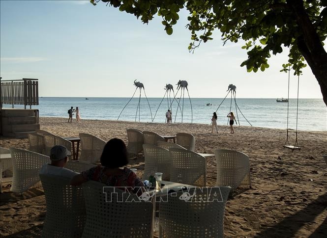 Aumenta la afluencia de turistas extranjeros a Vietnam en noviembre - ảnh 1