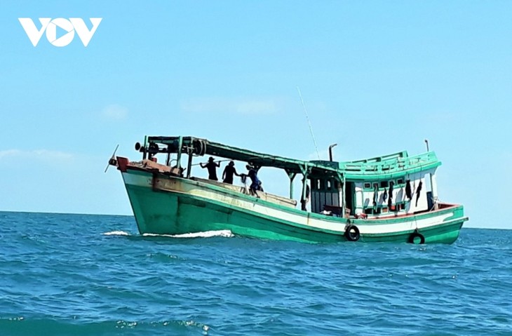 Vietnam se esfuerza por el levantamiento de la tarjeta amarilla sobre la pesca aplicada por la Comisión Europea  - ảnh 1