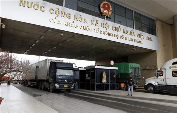 Vietnam exporta un gran volumen de productos agrícolas a China en los primeros tres días del Año Lunar - ảnh 1