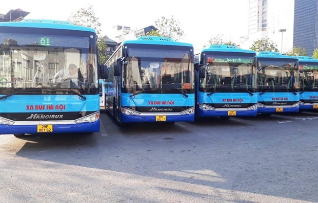 Mayoría de rutas subsidiarias de autobús de Hanói opera en su máxima capacidad desde este martes - ảnh 1