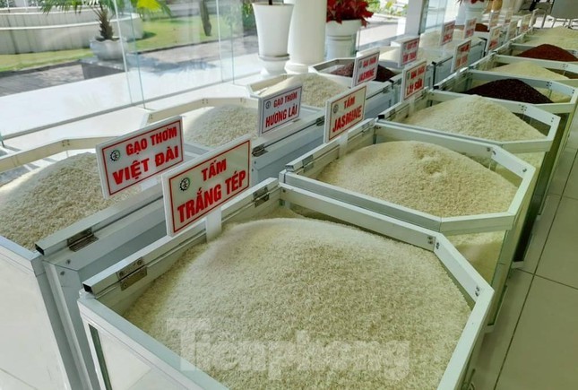 Siguen en aumento las exportaciones de arroz vietnamita - ảnh 1