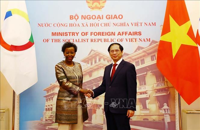 Comunidad francófona fortalece cooperación con Vietnam - ảnh 1